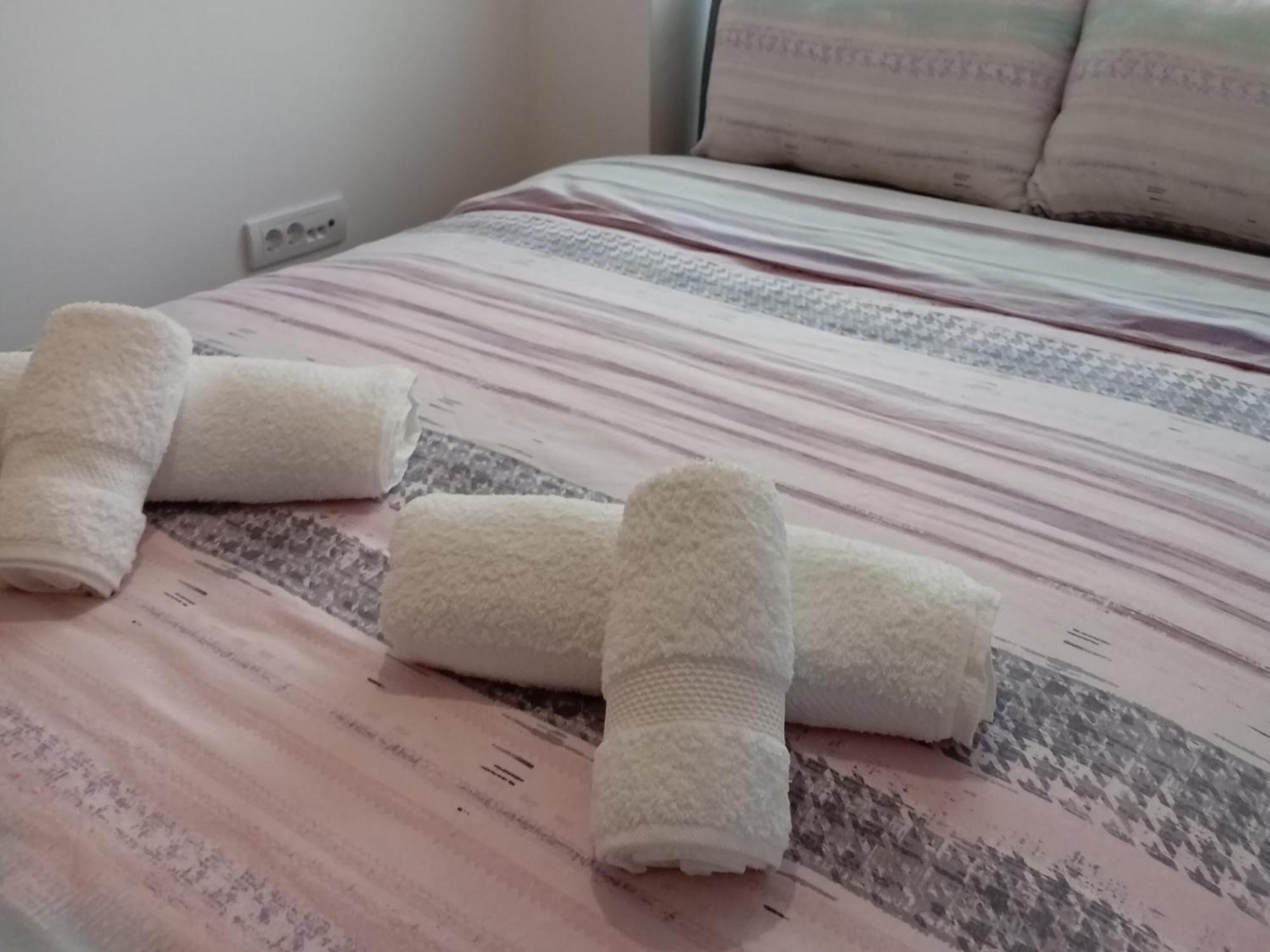 Tera Apartment Zemun Bělehrad Exteriér fotografie